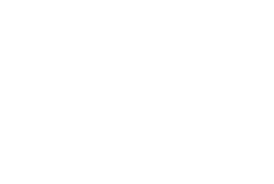 E-COMMERCE <br /> SOLUTIONS